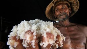 Harga Garam Petani Tradisional Turun