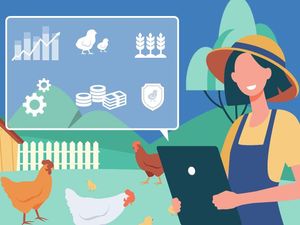 Catat! Ini yang Akan Membuat Industri Unggas Tanah Air Menggeliat