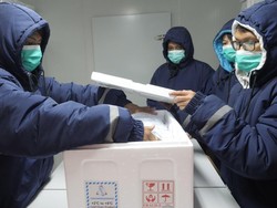 Kisah 8 Srikandi Nakes, 42 Hari Kawal Vaksin ke Kilang LNG di Papua