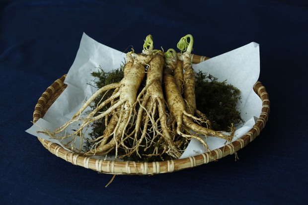 Ginseng.