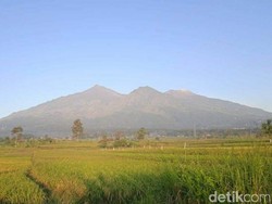 Gunung Arjuno-Welirang Ditutup Cegah Munculnya Klaster Pendakian