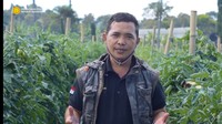 Hanya Lulusan SD, Petani Sayur Ini Sukses Raih Penghargaan Dunia