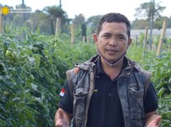 Hanya Lulusan SD, Petani Sayur Ini Sukses Raih Penghargaan Dunia