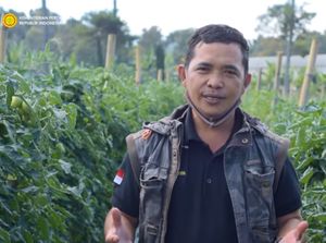 Hanya Lulusan SD, Petani Sayur Ini Sukses Raih Penghargaan Dunia Hanya Lulusan SD, Petani Sayur Ini Sukses Raih Penghargaan Dunia