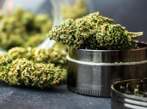 Banyak Balita di AS Tak Sengaja Makan Ganja, Kok Bisa? Banyak Balita di AS Tak Sengaja Makan Ganja, Kok Bisa?