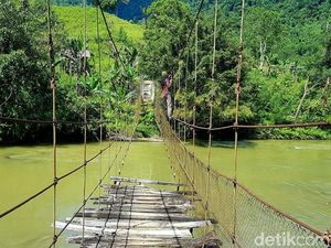 Anak Sekolah Bertaruh Nyawa Lewati Jembatan Gantung Mamasa, Solusi Dinanti Anak Sekolah Bertaruh Nyawa Lewati Jembatan Gantung Mamasa, Solusi Dinanti