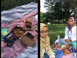 Ngakak! Niat Piknik Cantik, Makanan Wanita Ini Malah Dicuri Angsa dan Rusa
