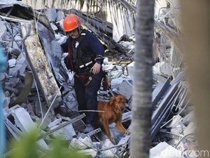Korban Terakhir Apartemen Runtuh di Florida Telah Diidentifikasi