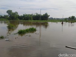 Tanggul Sungai Jebol, Banjir Meluas ke Lima Desa di Blitar