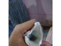 Cumi dan Terong untuk Masturbasi hingga Bedanya Soun dan Bihun