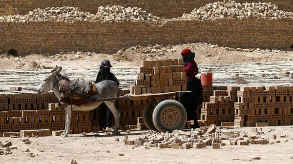 Di Desa Ini, Keledai Masih Berguna untuk Mengangkut Batu Bata