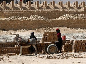 Di Desa Ini, Keledai Masih Berguna untuk Mengangkut Batu Bata