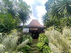 Main ke Situ Pengasinan, Makan Mie Lethek hingga Nasi Liwet
