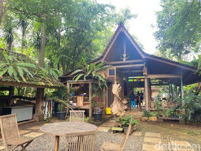 Asri Banget! Cicip Mi Lethek dan Nasi Liwet Enak di Situ Pengasinan