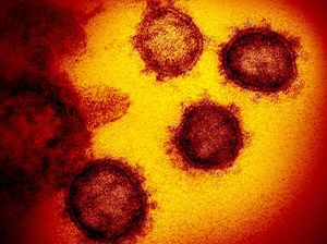 Penelitian Terbaru Menemukan Wabah Corona Pernah Terjadi di Asia Timur 25 Ribu Tahun Lalu