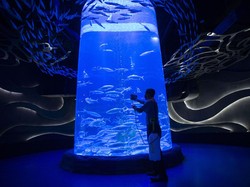 Ikut PPKM Mikro, Jakarta Aquarium Tutup Sementara