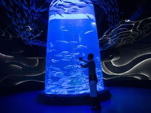 Ikut PPKM Mikro, Jakarta Aquarium Tutup Sementara Ikut PPKM Mikro, Jakarta Aquarium Tutup Sementara