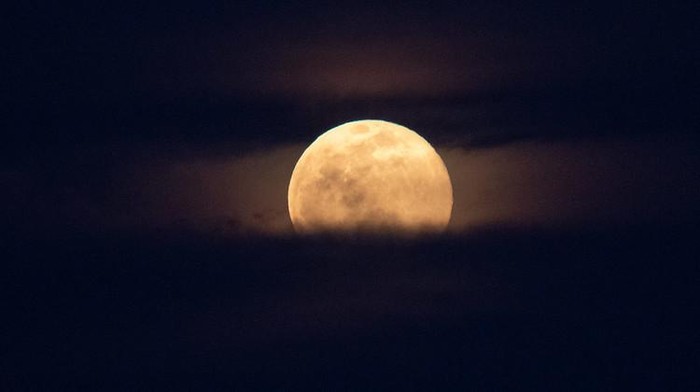Strawberry Full Moon Strawberry Full Moon