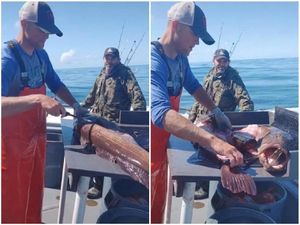 Wow! Di dalam Perut Ikan Jumbo Ini Ada Botol Whiskey Utuh