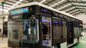Gantengnya Jetbus Transit Body Monocoque Low Deck Milik Adi Putro