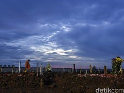 1.134 Petak Makam di TPU Rorotan Sudah Terisi Jenazah Covid-19