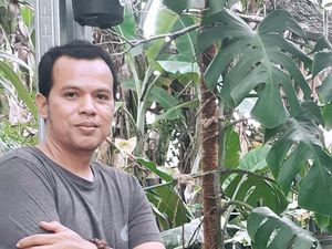 Kisah Pria Kehilangan Pekerjaan karena Corona, Kini Jual Tanaman Hias