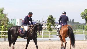 Ini 10 Hobi Sultan Tajir Melintir, Sobat Missqueen Minggir Dulu