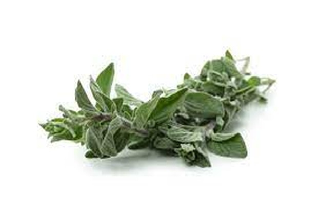 Marjoram bantu seimbangkan hormon/freepik.com Marjoram bantu seimbangkan hormon dalam tubuh/freepik.com