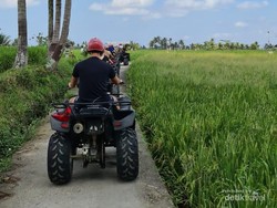 4 Wisata ATV di Ubud, Seru dan Memacu Adrenalin!
