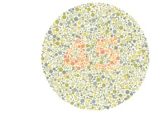 Bisa Liat Angka yang Tersembunyi? Berarti Mata Kamu Masih Sehat