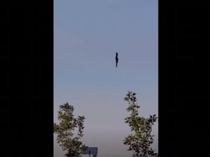Insiden Balon Udara Jatuh di Selandia Baru Insiden Balon Udara Jatuh di Selandia Baru
