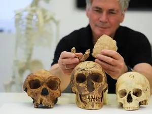 Ilmuwan Temukan Fosil Manusia Kuno di China, Spesiesnya Belum Diketahui?