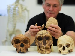 Ilmuwan Temukan Fosil Manusia Kuno di China, Spesiesnya Belum Diketahui?