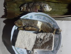 Ikan Unik dari Nabire: Suka Sembunyi di Pasir, Kepalanya Tajam