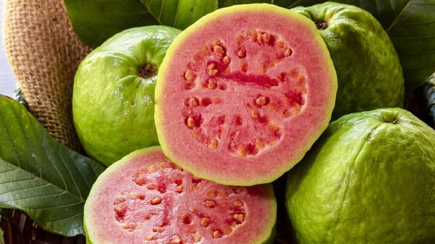 Closeup of a red guava cut in half, in the background several guavas and green leaf