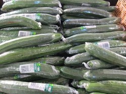 Pekerja Pertanian Langka, Harga Mentimun di Australia Jadi Rp 38 Ribu per Buah