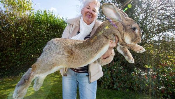 Kumpulan Foto Keren Tanpa Sentuhan Photoshop