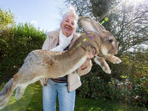 Kumpulan Foto Keren Tanpa Sentuhan Photoshop