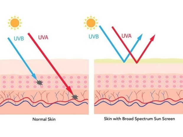 5 Efek Sinar Uv Pada Kulit Yang Perlu Kamu Ketahui Ja 5804