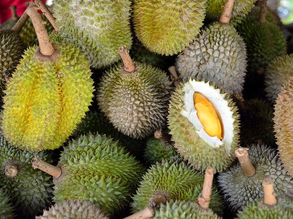 China Temukan Virus Corona Pada Paket Durian