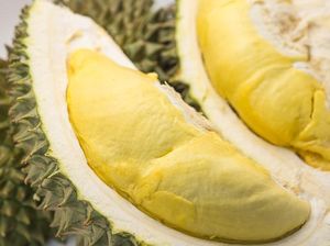 Gegara Petik Durian Sembarangan, 11 Orang Singapura Ini Ditangkap! Gegara Petik Durian Sembarangan, 11 Orang Singapura Ini Ditangkap!