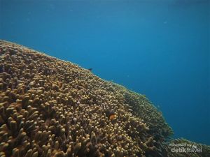 Melepas Penat di Pulau Tabuhan