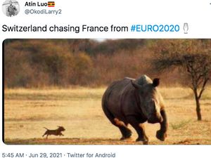 Meme Tragis Prancis Dipulangkan Swiss