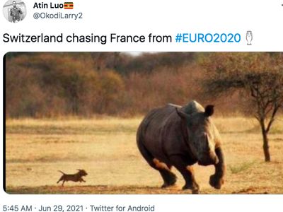 Meme Tragis Prancis Dipulangkan Swiss