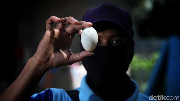 Mengenal si Untung, Sang Pengusaha yang Memanfaatkan Limbah Organik