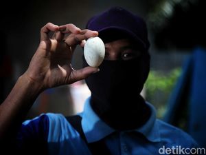 Mengenal si Untung, Sang Pengusaha yang Memanfaatkan Limbah Organik