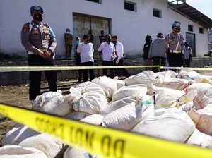 Ribuan Liter Miras Cap Tikus Dimusnahkan