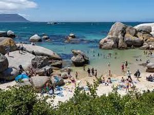 Afrika Selatan Tutup Pantai untuk Selidiki Polusi di Laut Imbas Kerusuhan