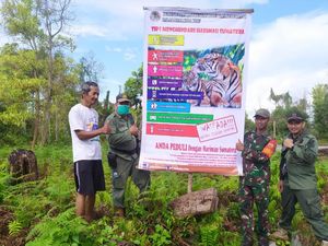 Harimau Muncul di Dekat Permukiman Warga Siak, BKSDA Pasang Camera Trap