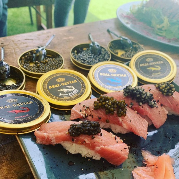 Ilustrasi hidangan dengan caviar/Instagram.com/realcaviaroficial Ilustrasi hidangan dengan caviar/Instagram.com/realcaviaroficial